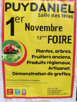 Foire de Puydaniel